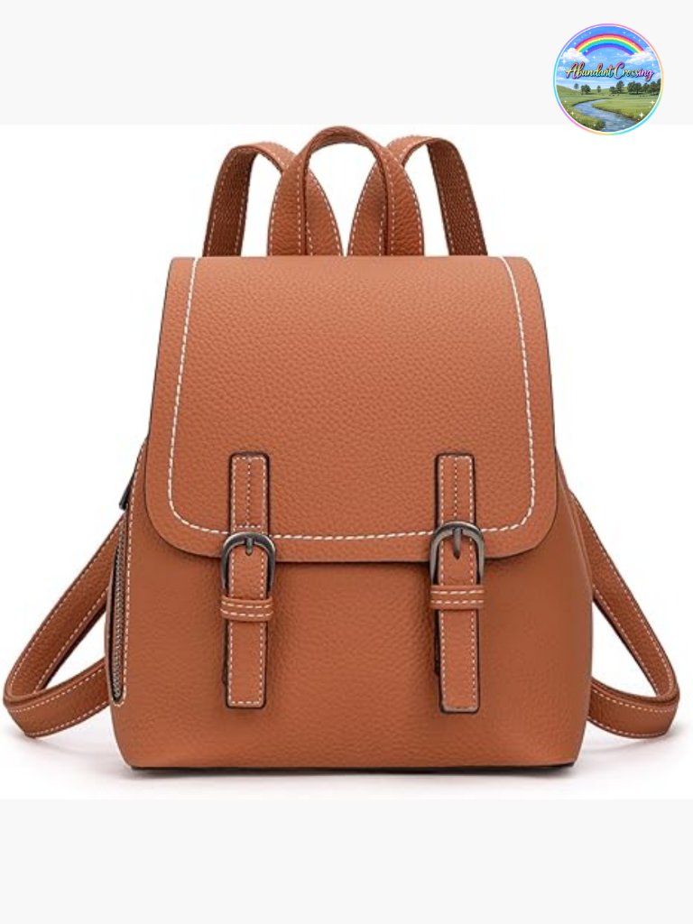 Mini Backpack Purse Vegan Leather Convertible Shoulder Bag Small Backpack